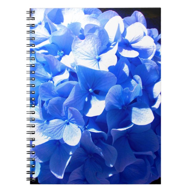 ElegantCobalt blue floral elegant hydrangeas  Notebook (Front)