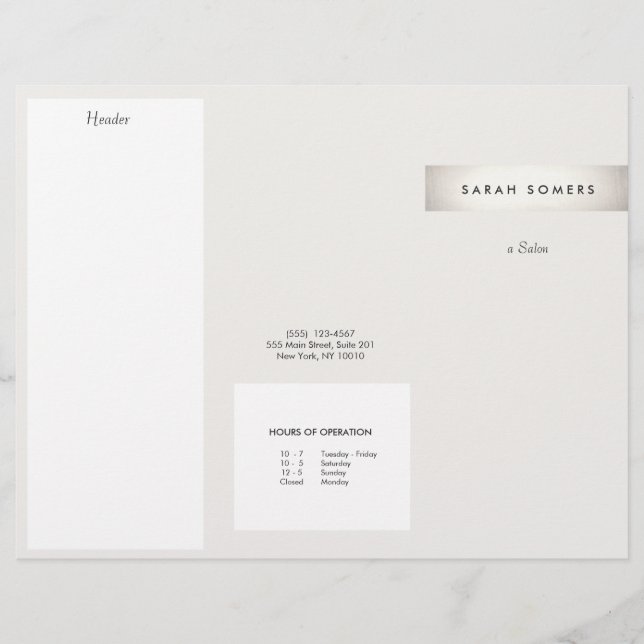 Élégante Brochure moderne FAUX Silver Striped Salo (Devant)
