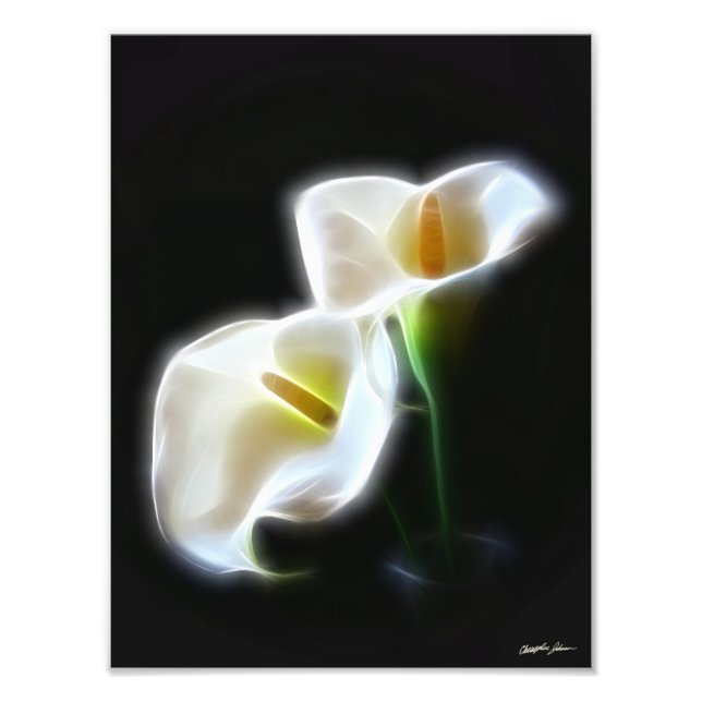 Elégante Calla Lily Flowers 13 Impression moderne (Devant)