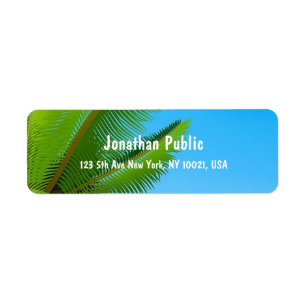 Élégante écriture Modèle Palm Feuille Blue Sky