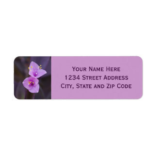 Élégante floraison violette photo