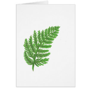 Élégante fougères vertes feuilles de bois