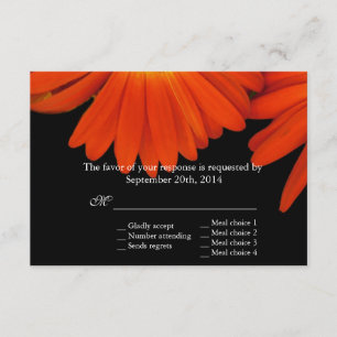 élégante gerbera orange fleur marguerite RSVP