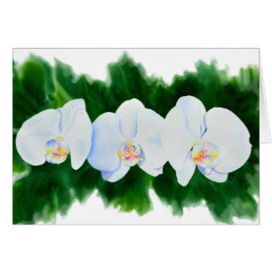 Elégante peinture d'orchidée tropicale blanche