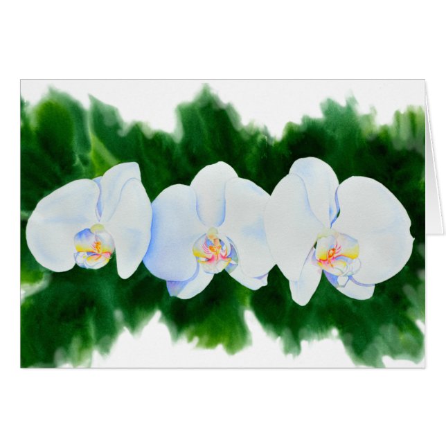 Elégante peinture d'orchidée tropicale blanche (Devant horizontal)