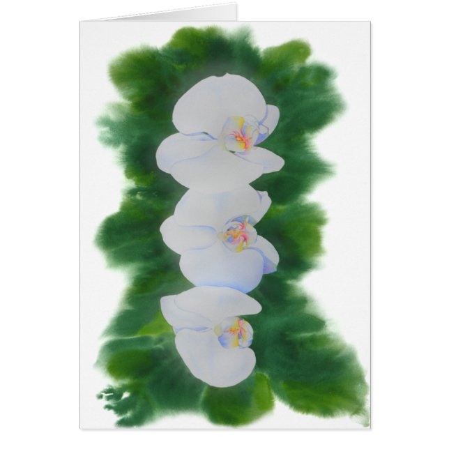 Elégante peinture d'orchidée tropicale blanche (Devant)