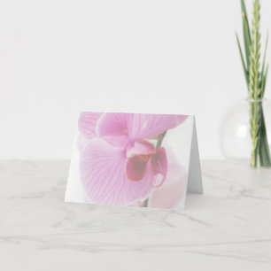 Élégante photo d'orchidée rose