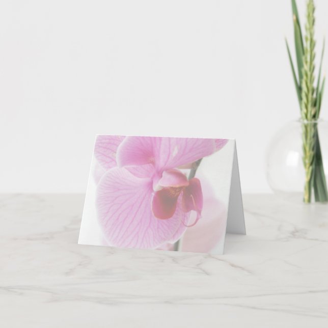 Élégante photo d'orchidée rose (Devant)