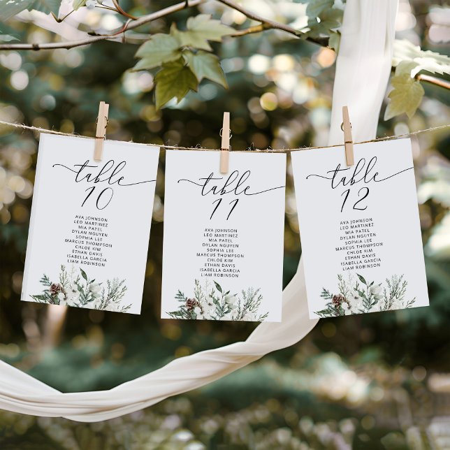 Elégante table de mariage d'hiver Sièges Cartes de (Créateur téléchargé)