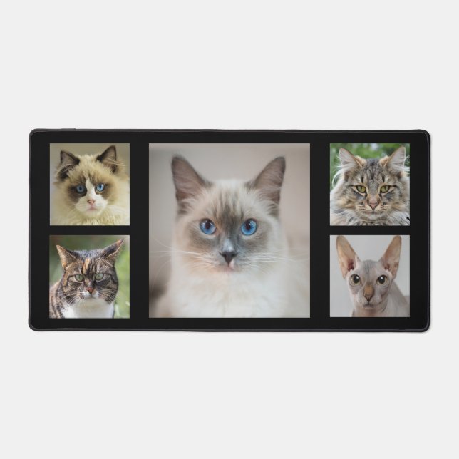 Élégantes photos de chats personnalisées sur noir (Recto)