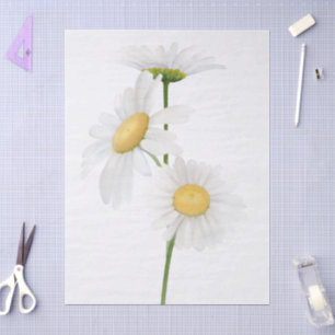 Elegent modren dazie flower tissue paper