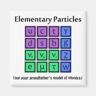 Elementary Particle Physics Magnet
