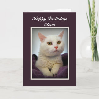 Elena Happy Birthday White Cat Card