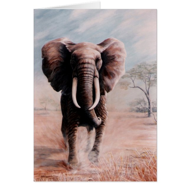 Elephant (Front)