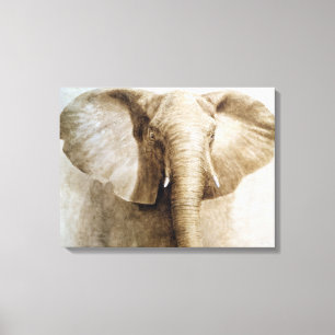 Elephant 2004 canvas print