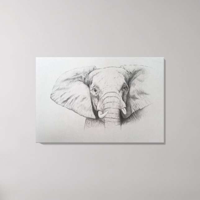 Elephant 2011 canvas print (Front)