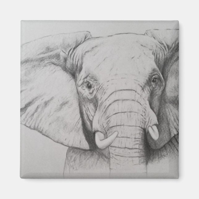 Elephant 2011 magnet (Front)