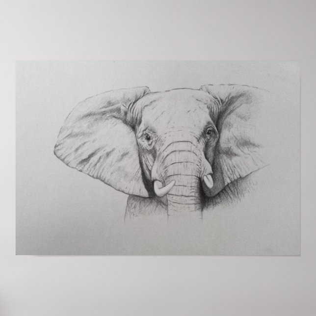 Elephant 2011 poster (Front)