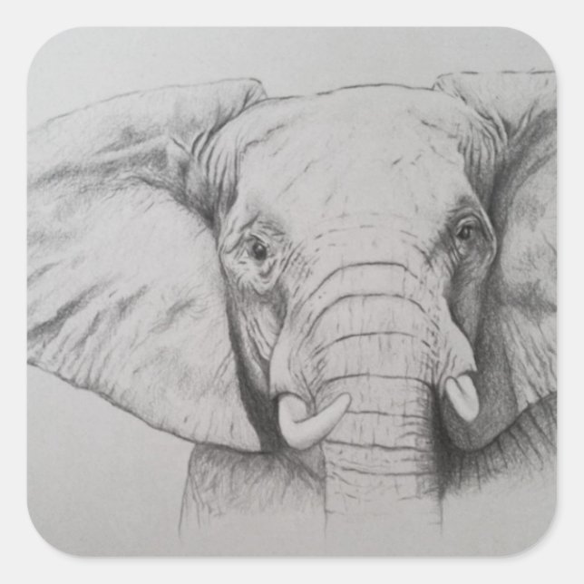 Elephant 2011 square sticker (Front)
