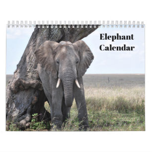 Elephant 2026  calendar
