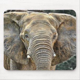 Elephant African All Ears Mouse Pad