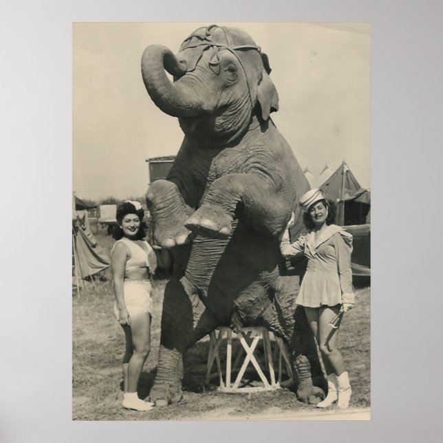 elephant and 2 girls circus poster (Front)