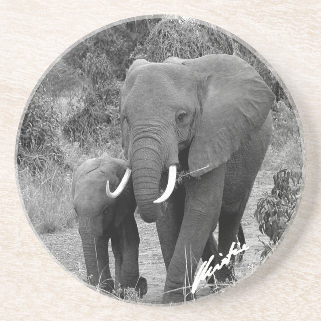Elephant and Calf Coaster (Front)
