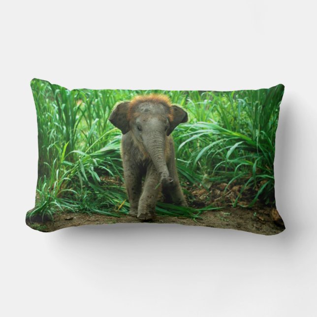 Elephant and Grass Lumbar Pillow (Front)