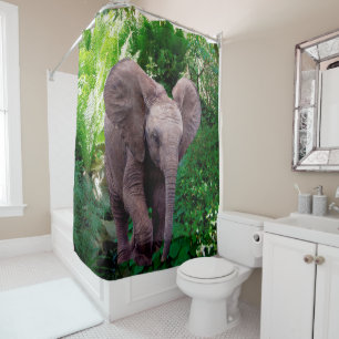 Elephant and Jungle