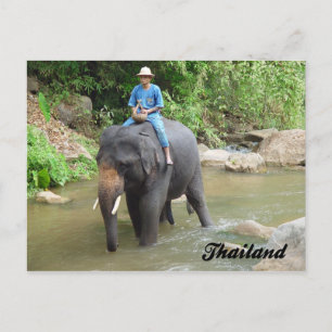 Elephant and Mahout Chiang Mai, Thailand Postcard