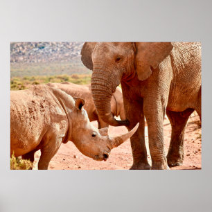 ELEPHANT AND RHINO DON'T LIKE EACH OTHER POSTER