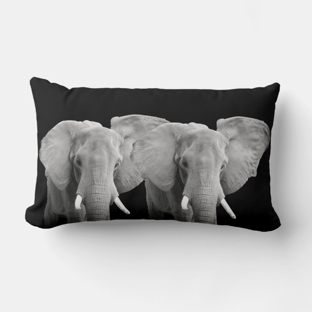 Elephant Animal Photos on Black Background Lumbar Pillow (Front)