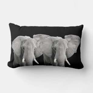 Elephant Animal Photos on Black Lumbar Pillow