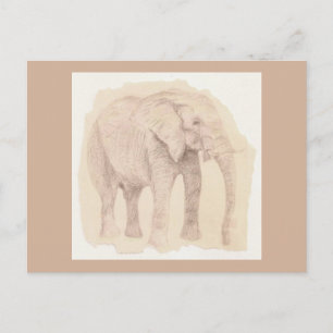Elephant Art Sketch Postcard