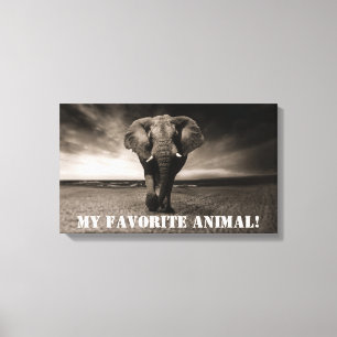Elephant as My Favourite Animal! Canvas Print
