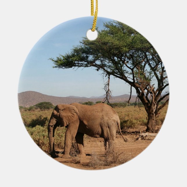 Elephant at Samburu National Reserve Ceramic Ornament (Front)