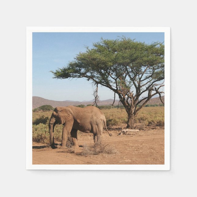 Elephant at Samburu National Reserve Napkin (Front)