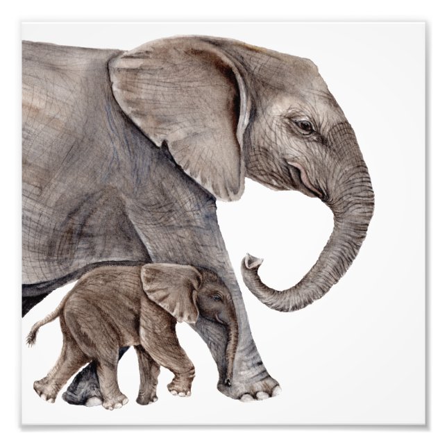 Eléphant avec bébé Eléphant Photo Art Imprimer (Devant)