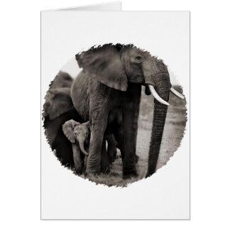 Elephant & Baby Elephant