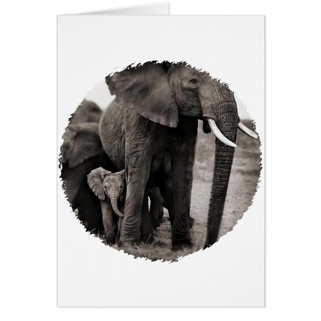 Elephant & Baby Elephant (Front)