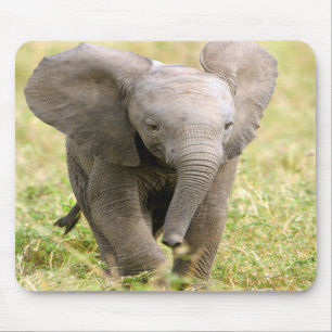 Elephant Baby Mouse Pad
