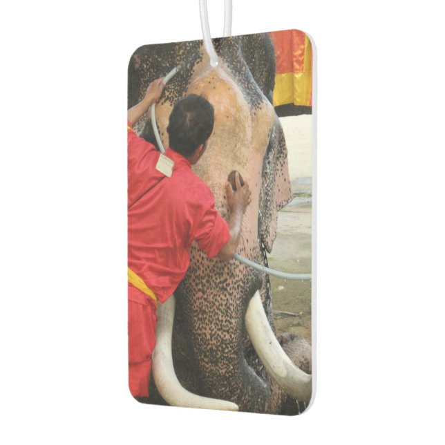 Elephant Bathtime ... Ayutthaya, Thailand Air Freshener (Left)