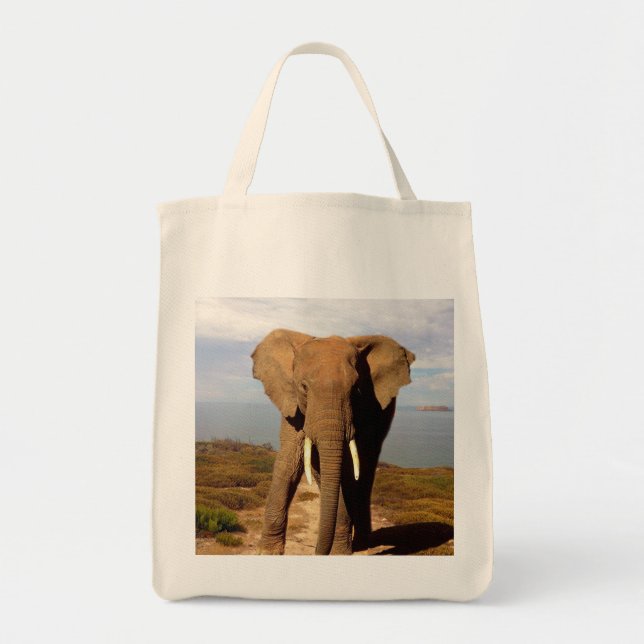 Elephant Beach Day Outing, Tote Bag (Front)