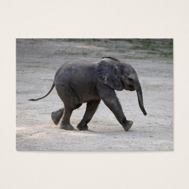 Eléphant bébé doux Kibali (Devant)