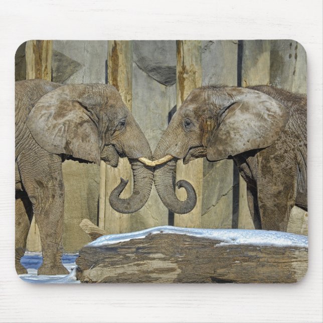 Elephant Best Friends Mousepad (Front)