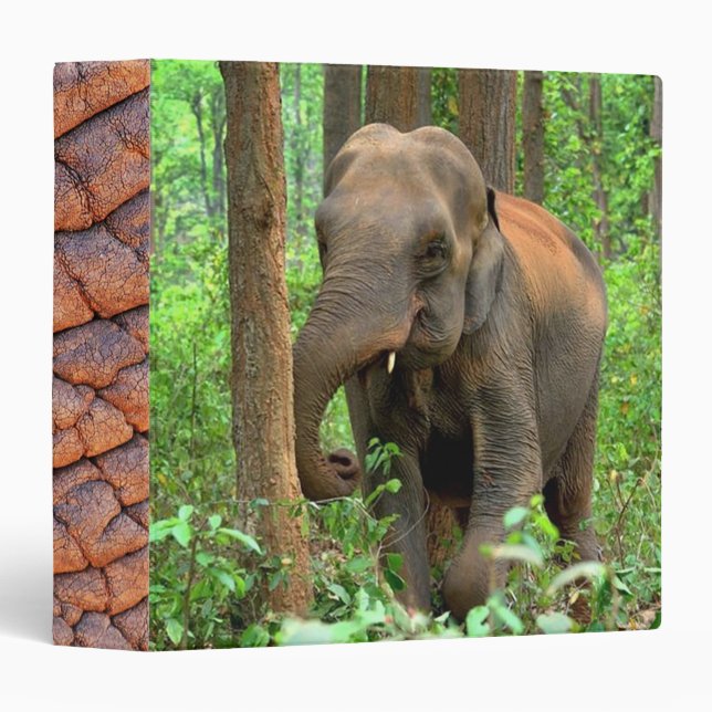 Elephant Binder (Front/Spine)