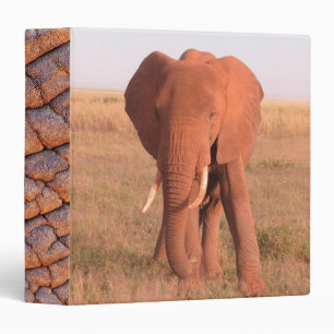 Elephant Binder