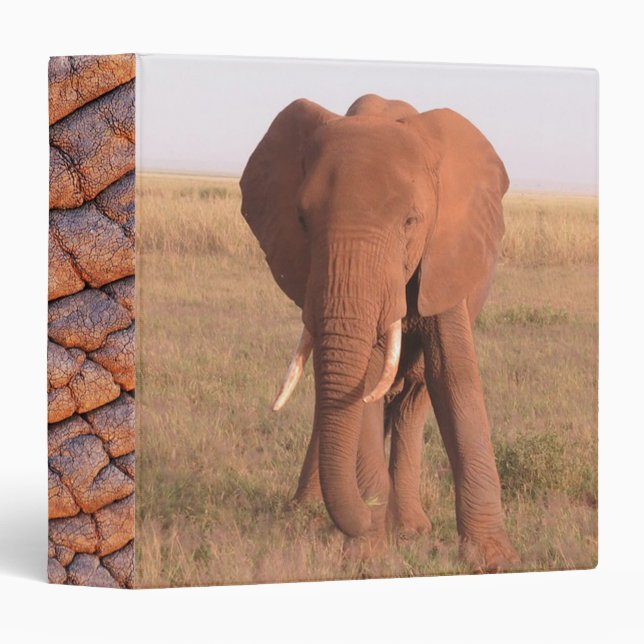 Elephant Binder (Front/Spine)