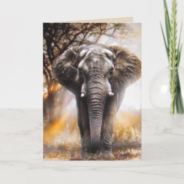 Elephant Birthday Card (Front)
