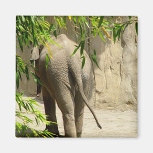Elephant Booty Magnet